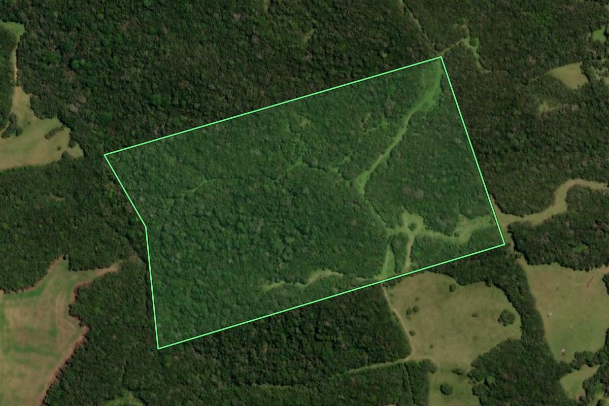 Imagem de satélite do imóvel rural em Lavras do Sul (RS), com o contorno declarado no CAR desenhado por cima.