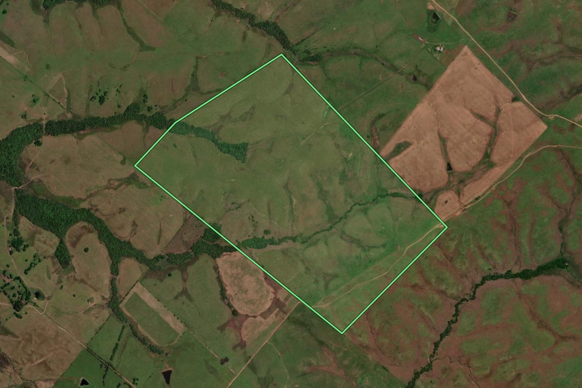 Imagem de satélite do imóvel rural em Lavras do Sul (RS), com o contorno declarado no CAR desenhado por cima.