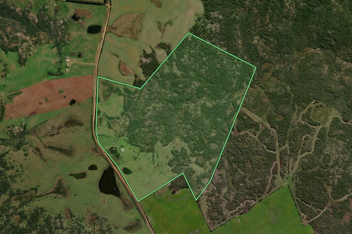 Imagem de satélite do imóvel rural em Lavras do Sul (RS), com o contorno declarado no CAR desenhado por cima.