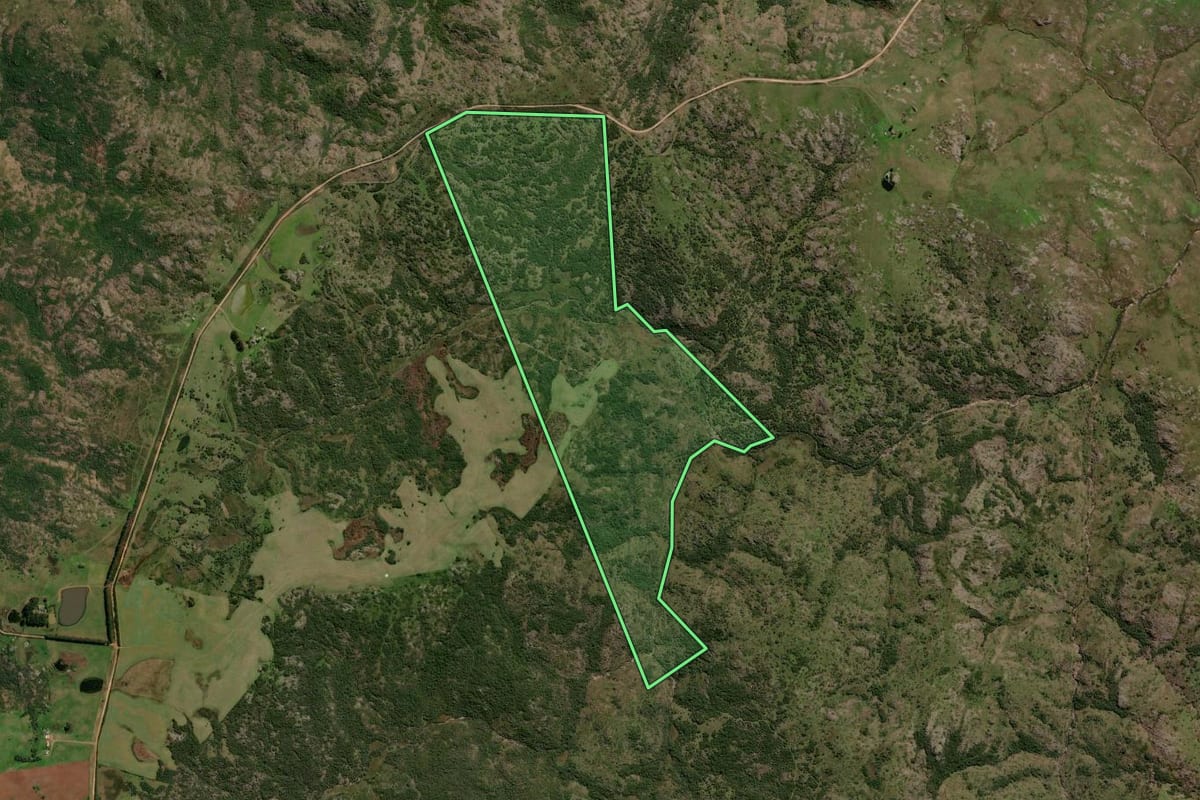 Imagem de satélite do imóvel rural em Lavras do Sul (RS), com o contorno declarado no CAR desenhado por cima.