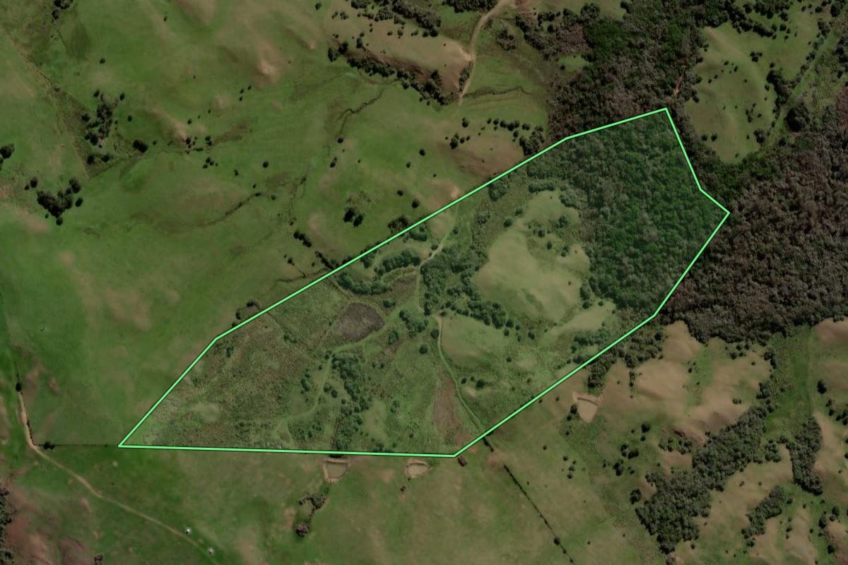 Imagem de satélite do imóvel rural em Lavras do Sul (RS), com o contorno declarado no CAR desenhado por cima.
