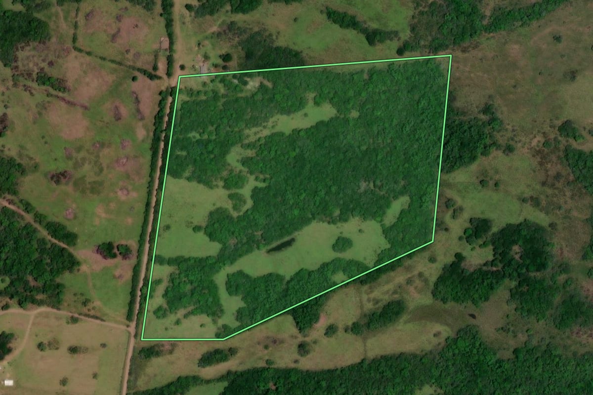 Imagem de satélite do imóvel rural em Lavras do Sul (RS), com o contorno declarado no CAR desenhado por cima.