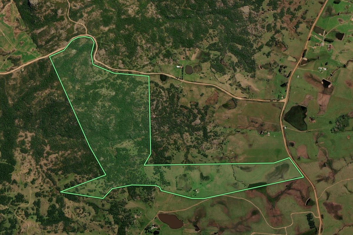 Imagem de satélite do imóvel rural em Lavras do Sul (RS), com o contorno declarado no CAR desenhado por cima.