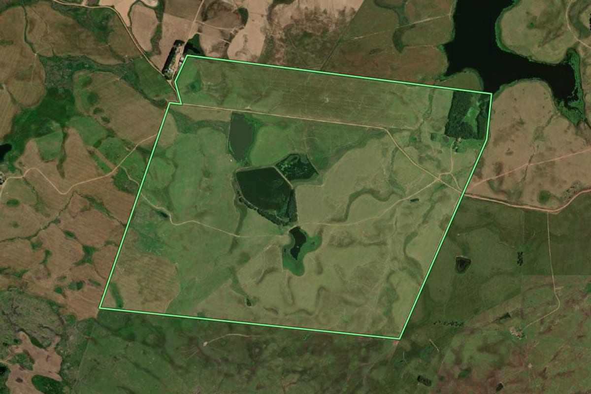 Imagem de satélite do imóvel rural em Lavras do Sul (RS), com o contorno declarado no CAR desenhado por cima.