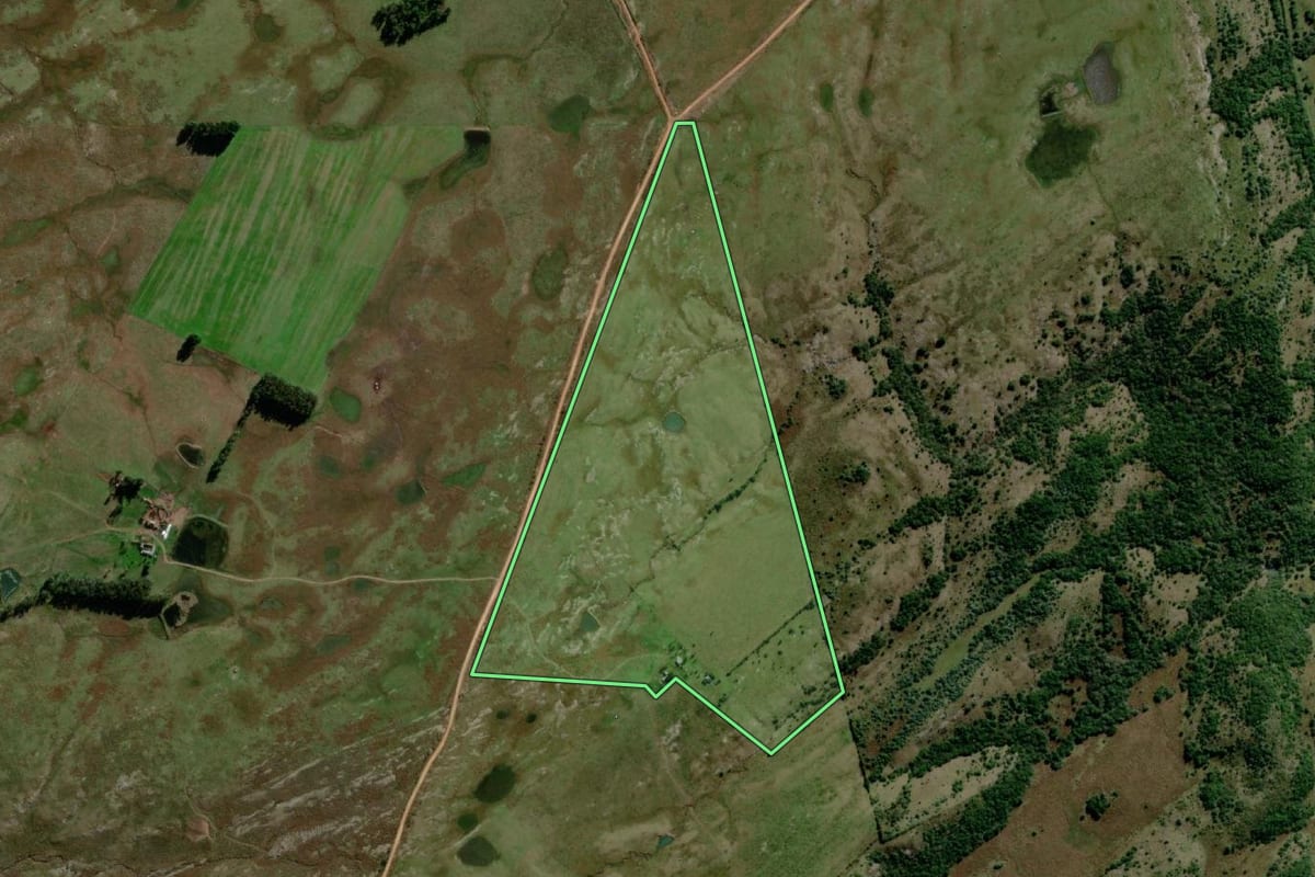 Imagem de satélite do imóvel rural em Lavras do Sul (RS), com o contorno declarado no CAR desenhado por cima.