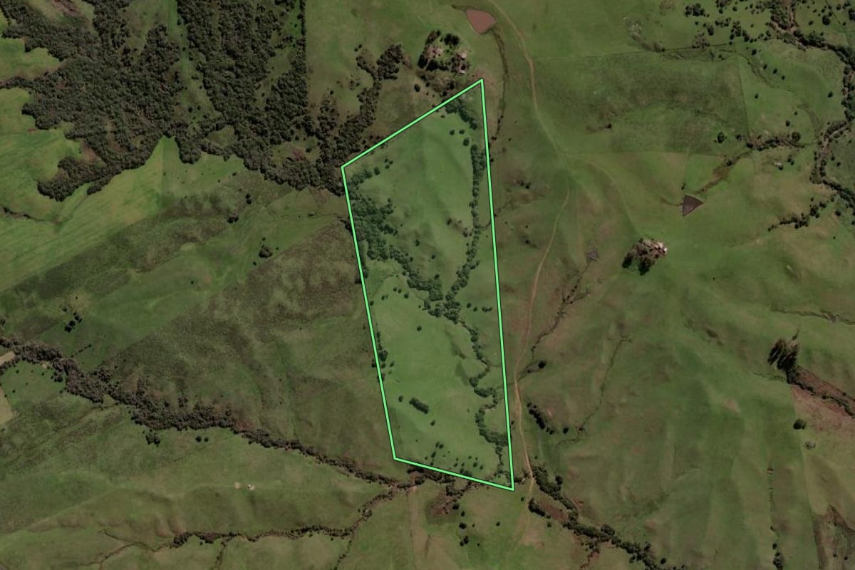 Imagem de satélite do imóvel rural em Lavras do Sul (RS), com o contorno declarado no CAR desenhado por cima.