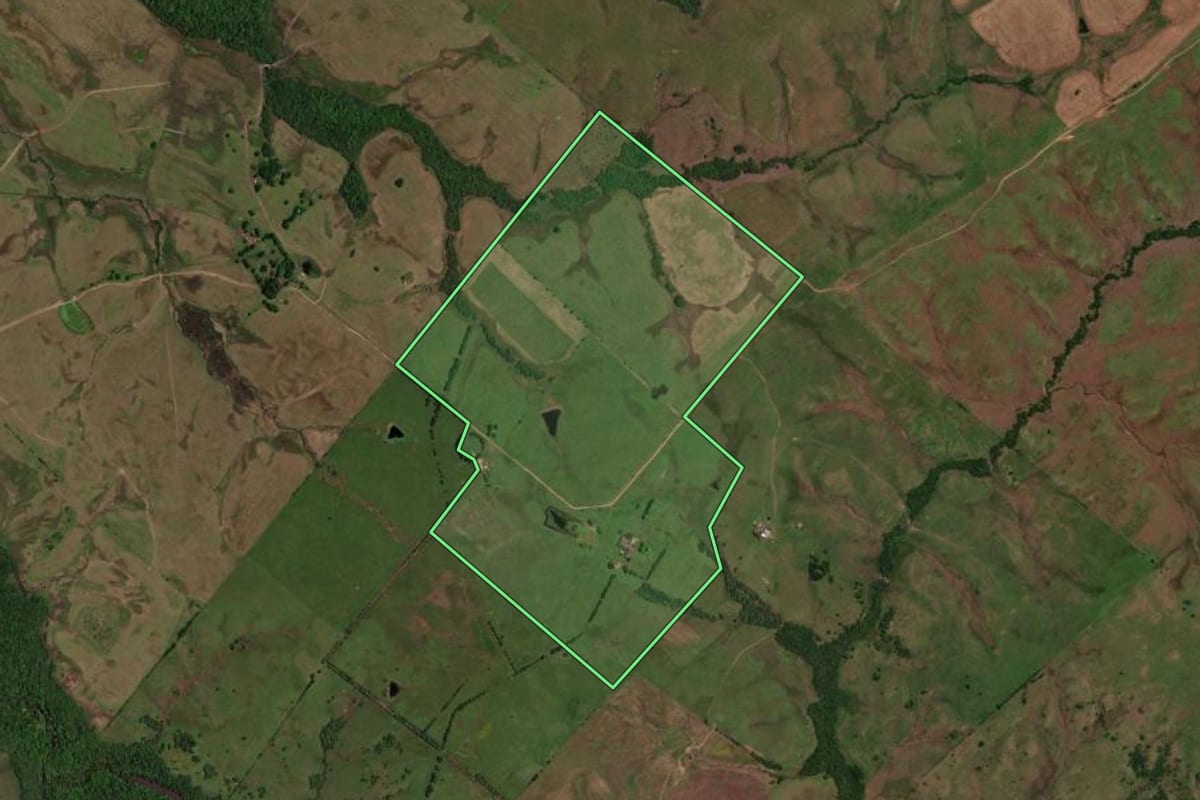 Imagem de satélite do imóvel rural em Lavras do Sul (RS), com o contorno declarado no CAR desenhado por cima.
