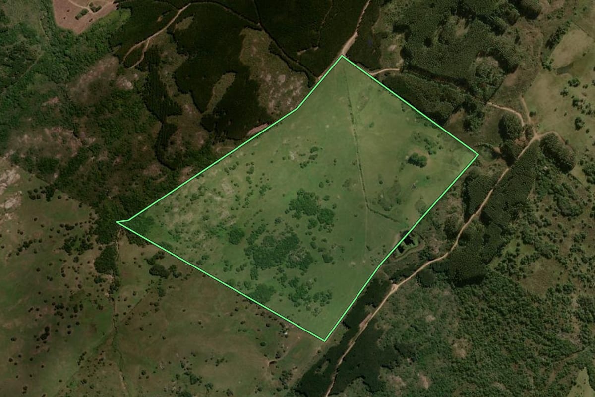 Imagem de satélite do imóvel rural em Lavras do Sul (RS), com o contorno declarado no CAR desenhado por cima.