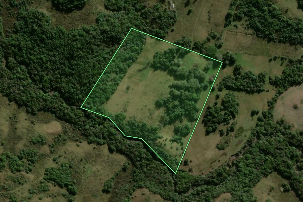 Imagem de satélite do imóvel rural em Lavras do Sul (RS), com o contorno declarado no CAR desenhado por cima.