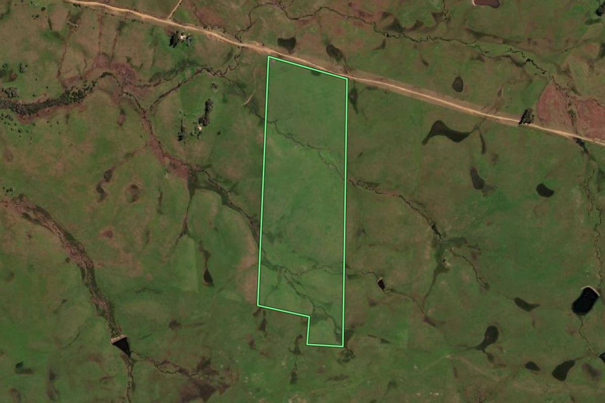Imagem de satélite do imóvel rural em Lavras do Sul (RS), com o contorno declarado no CAR desenhado por cima.