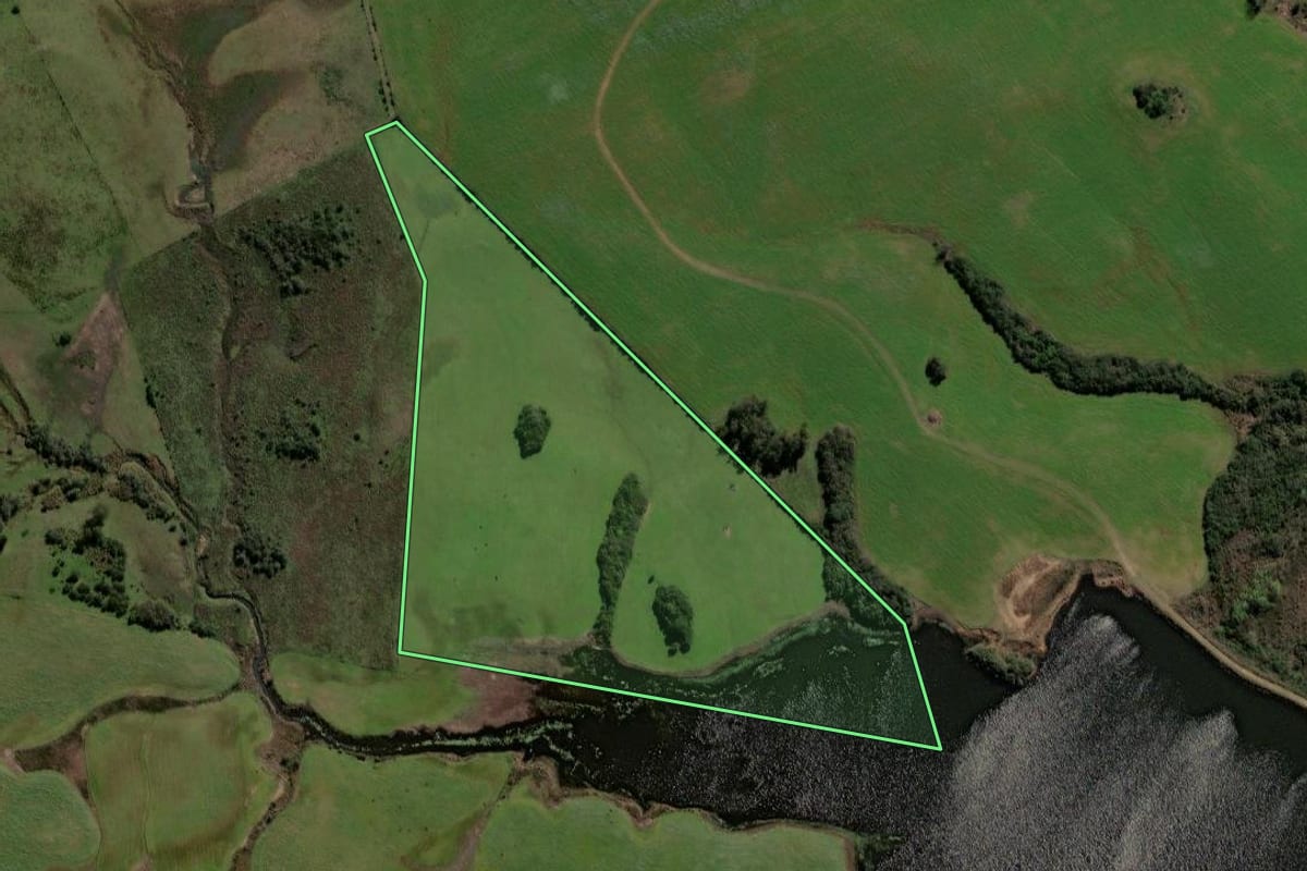 Imagem de satélite do imóvel rural em Lavras do Sul (RS), com o contorno declarado no CAR desenhado por cima.