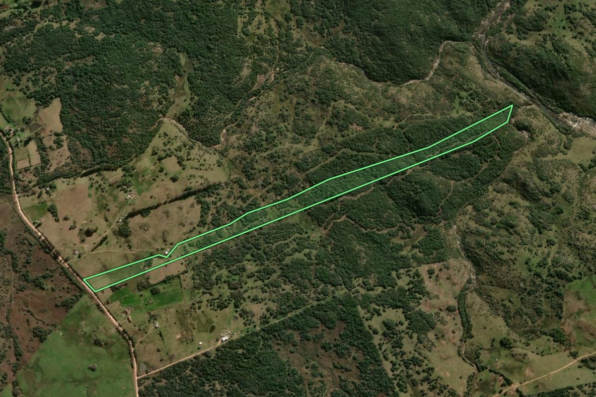Imagem de satélite do imóvel rural em Lavras do Sul (RS), com o contorno declarado no CAR desenhado por cima.