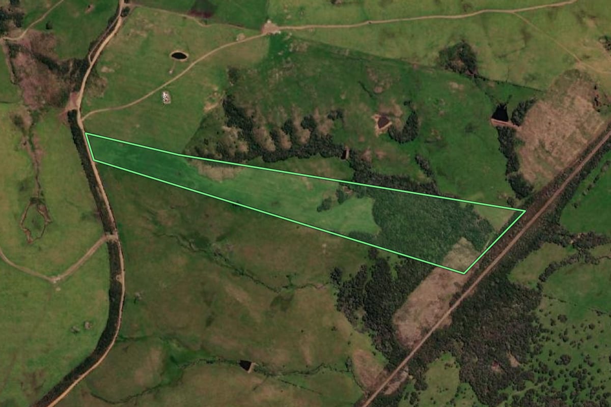 Imagem de satélite do imóvel rural em Lavras do Sul (RS), com o contorno declarado no CAR desenhado por cima.