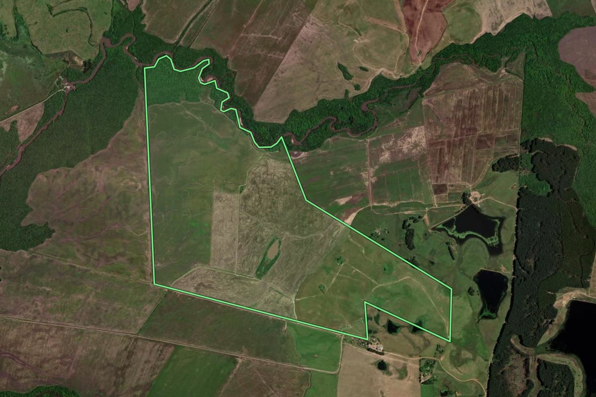 Imagem de satélite do imóvel rural em Lavras do Sul (RS), com o contorno declarado no CAR desenhado por cima.