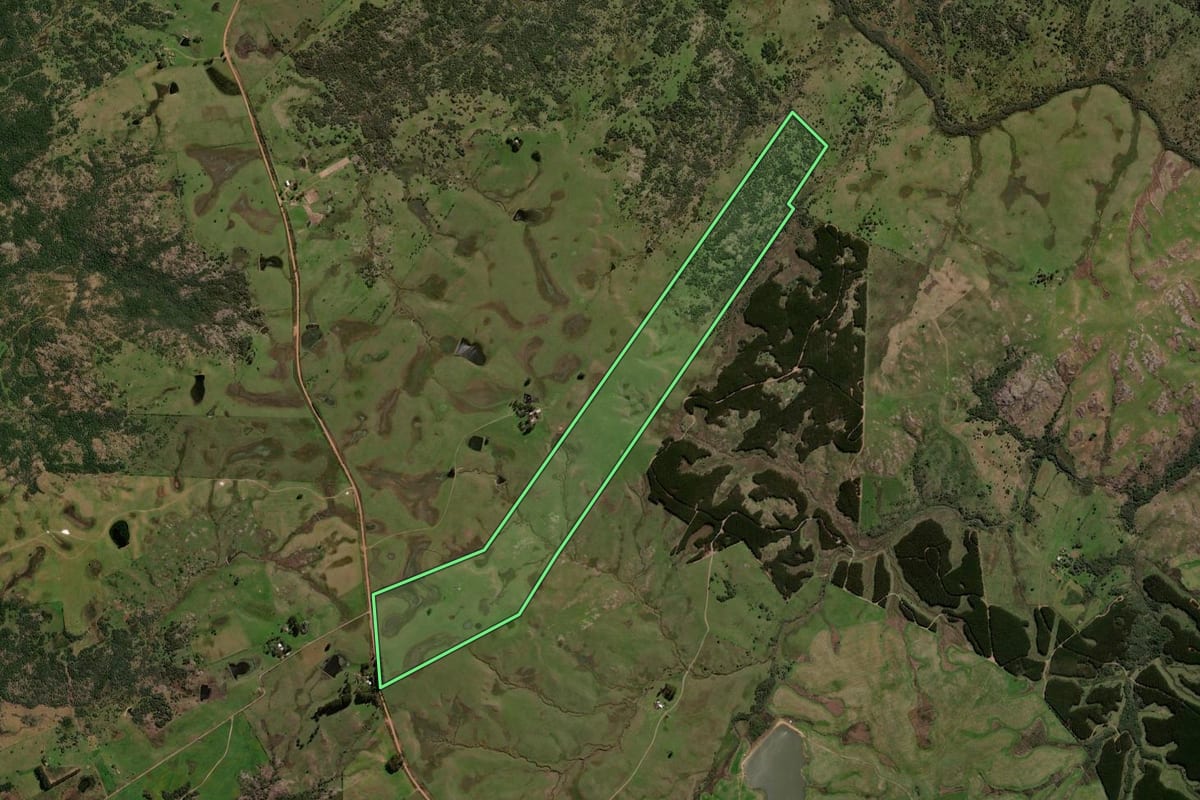 Imagem de satélite do imóvel rural em Lavras do Sul (RS), com o contorno declarado no CAR desenhado por cima.
