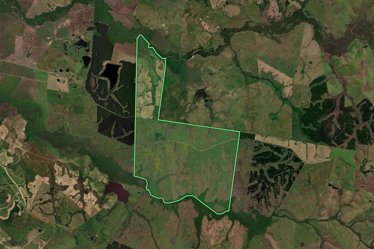 Imagem de satélite do imóvel rural em Lavras do Sul (RS), com o contorno declarado no CAR desenhado por cima.