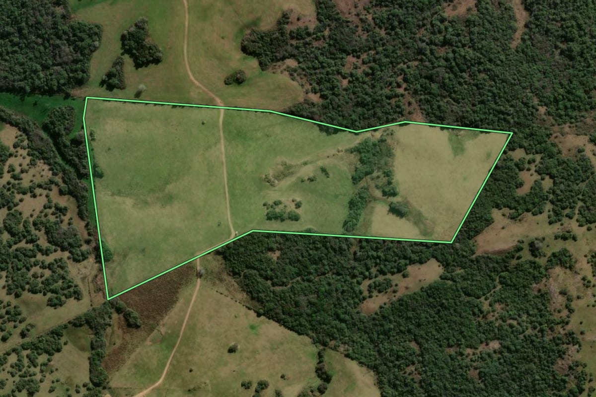 Imagem de satélite do imóvel rural em Lavras do Sul (RS), com o contorno declarado no CAR desenhado por cima.