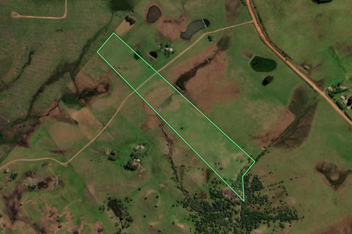 Imagem de satélite do imóvel rural em Lavras do Sul (RS), com o contorno declarado no CAR desenhado por cima.
