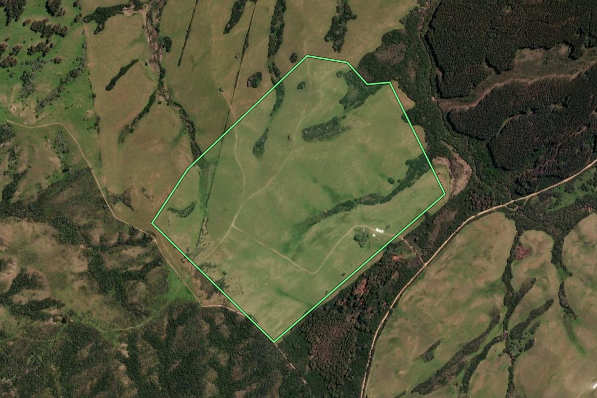 Imagem de satélite do imóvel rural em Lavras do Sul (RS), com o contorno declarado no CAR desenhado por cima.