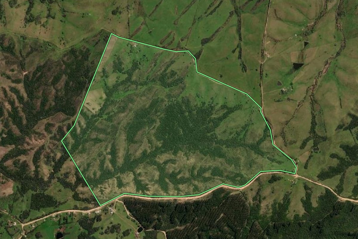 Imagem de satélite do imóvel rural em Lavras do Sul (RS), com o contorno declarado no CAR desenhado por cima.