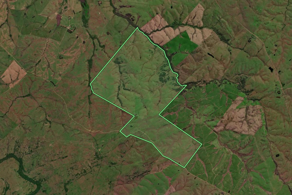 Imagem de satélite do imóvel rural em Lavras do Sul (RS), com o contorno declarado no CAR desenhado por cima.