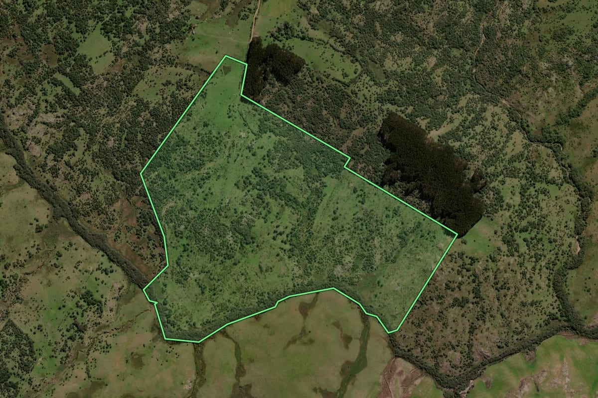 Imagem de satélite do imóvel rural em Lavras do Sul (RS), com o contorno declarado no CAR desenhado por cima.