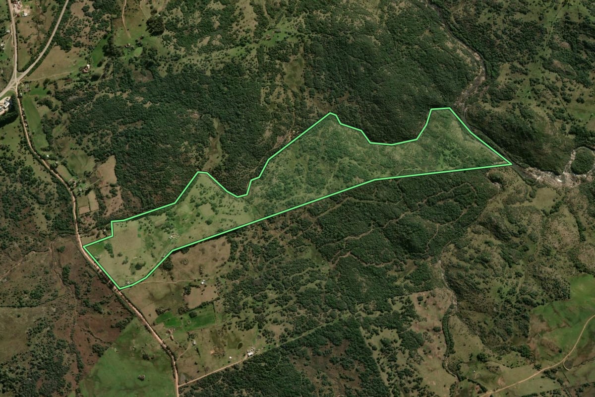 Imagem de satélite do imóvel rural em Lavras do Sul (RS), com o contorno declarado no CAR desenhado por cima.