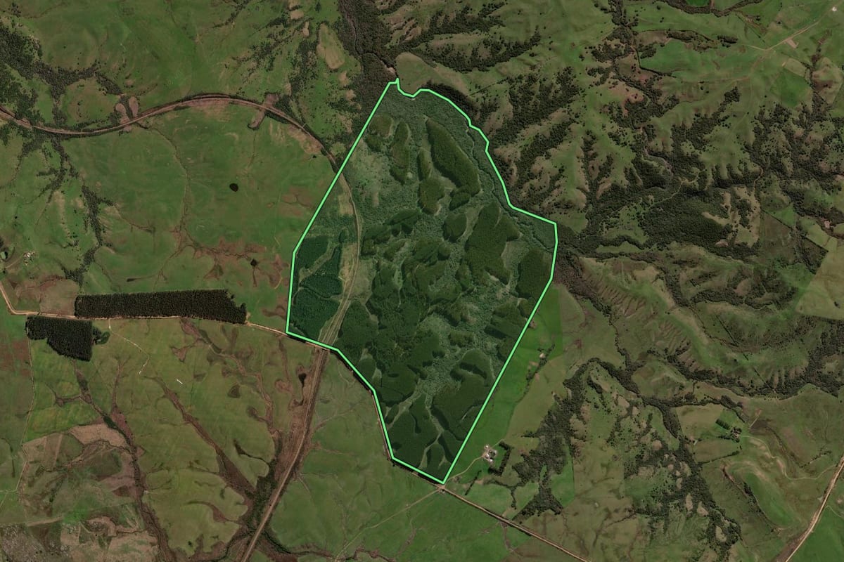 Imagem de satélite do imóvel rural em Lavras do Sul (RS), com o contorno declarado no CAR desenhado por cima.