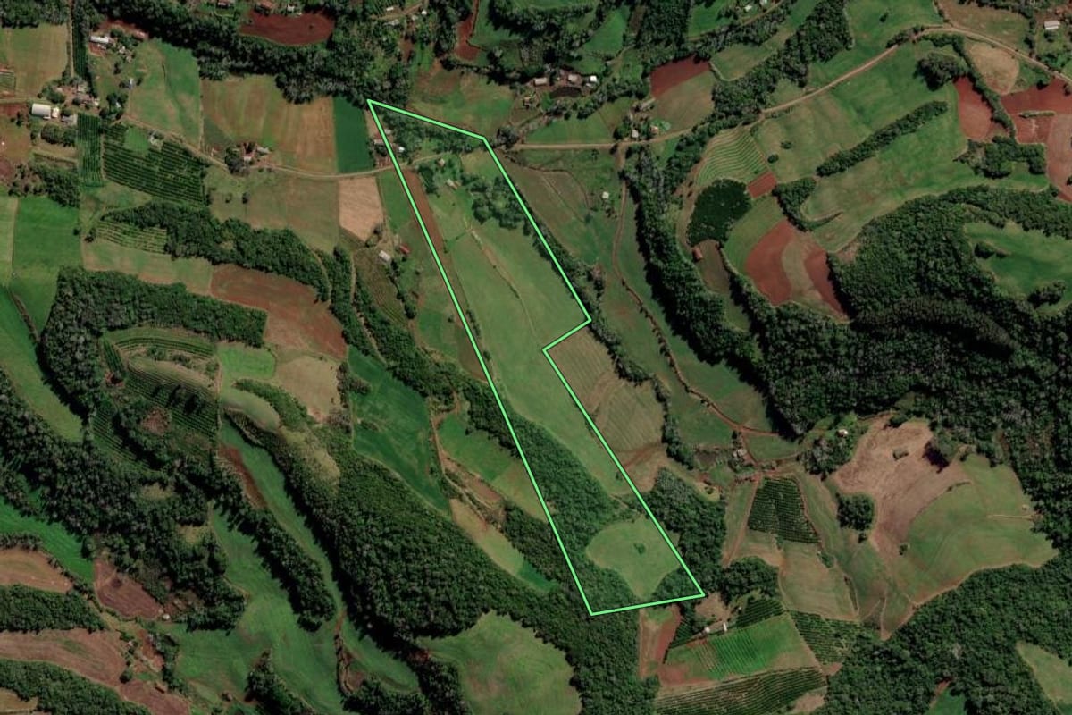 Imagem de satélite do imóvel rural em Liberato Salzano (RS), com o contorno declarado no CAR desenhado por cima.