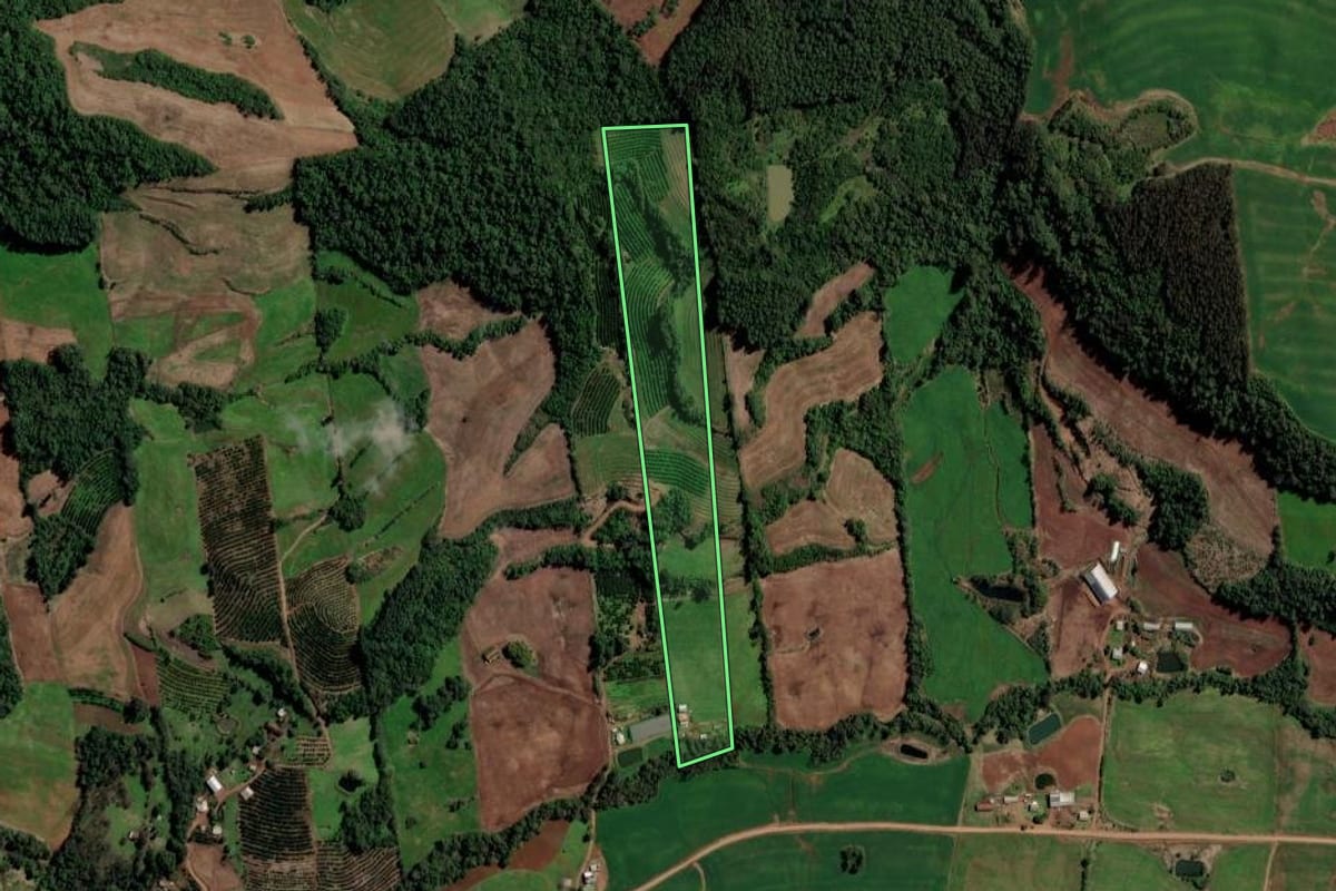 Imagem de satélite do imóvel rural em Liberato Salzano (RS), com o contorno declarado no CAR desenhado por cima.