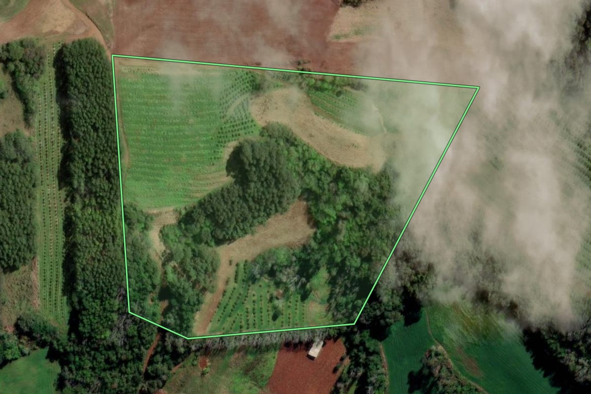 Imagem de satélite do imóvel rural em Liberato Salzano (RS), com o contorno declarado no CAR desenhado por cima.
