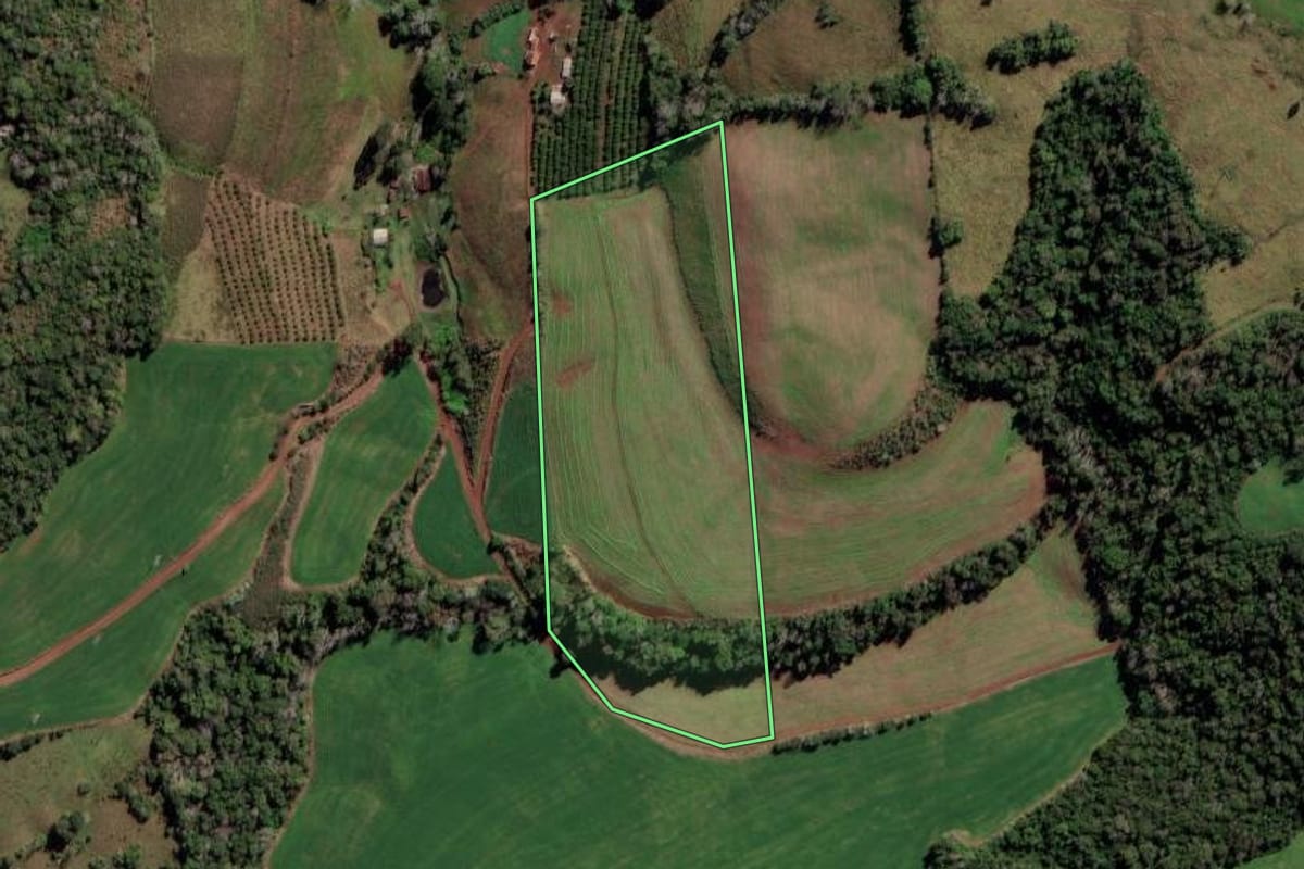 Imagem de satélite do imóvel rural em Liberato Salzano (RS), com o contorno declarado no CAR desenhado por cima.