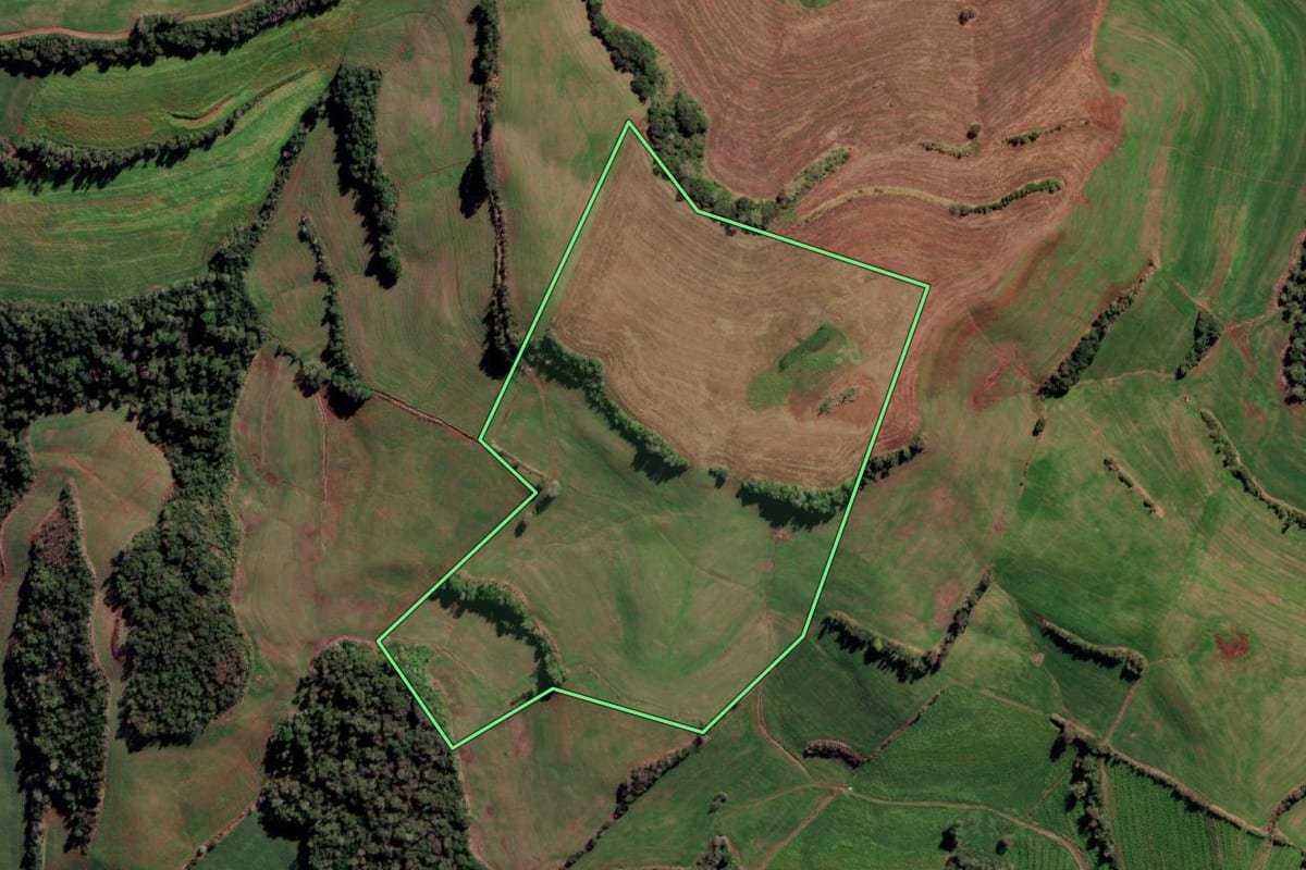 Imagem de satélite do imóvel rural em Liberato Salzano (RS), com o contorno declarado no CAR desenhado por cima.
