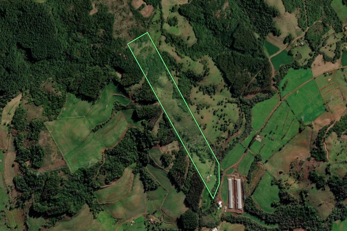 Imagem de satélite do imóvel rural em Liberato Salzano (RS), com o contorno declarado no CAR desenhado por cima.