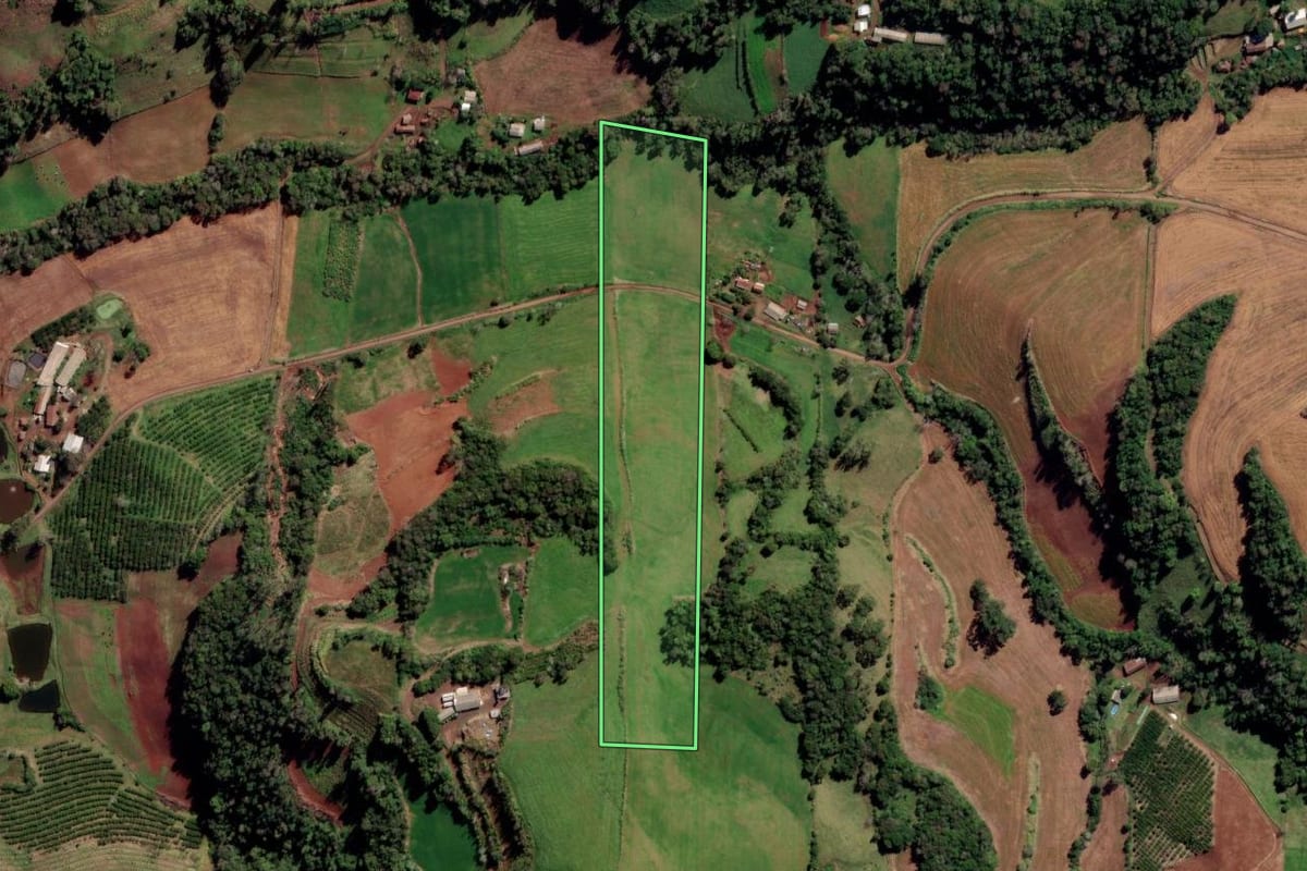 Imagem de satélite do imóvel rural em Liberato Salzano (RS), com o contorno declarado no CAR desenhado por cima.