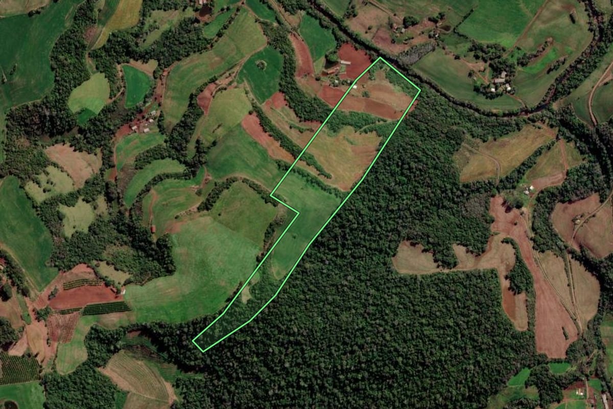 Imagem de satélite do imóvel rural em Liberato Salzano (RS), com o contorno declarado no CAR desenhado por cima.