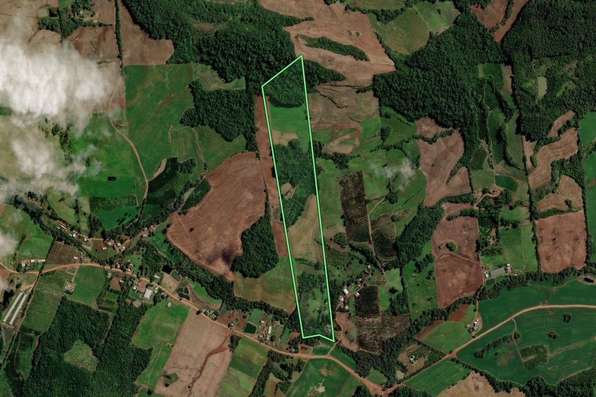 Imagem de satélite do imóvel rural em Liberato Salzano (RS), com o contorno declarado no CAR desenhado por cima.
