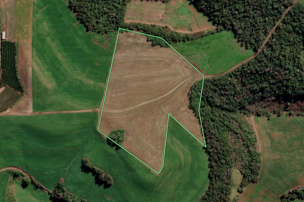 Imagem de satélite do imóvel rural em Liberato Salzano (RS), com o contorno declarado no CAR desenhado por cima.
