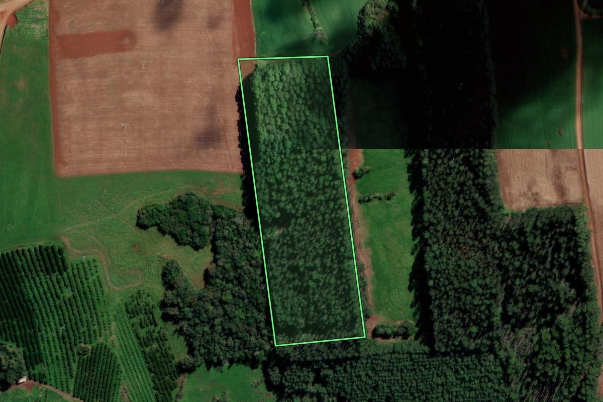 Imagem de satélite do imóvel rural em Liberato Salzano (RS), com o contorno declarado no CAR desenhado por cima.