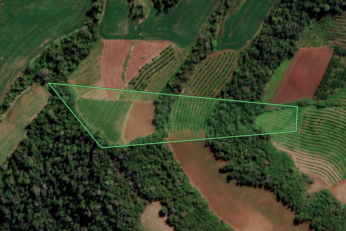 Imagem de satélite do imóvel rural em Liberato Salzano (RS), com o contorno declarado no CAR desenhado por cima.