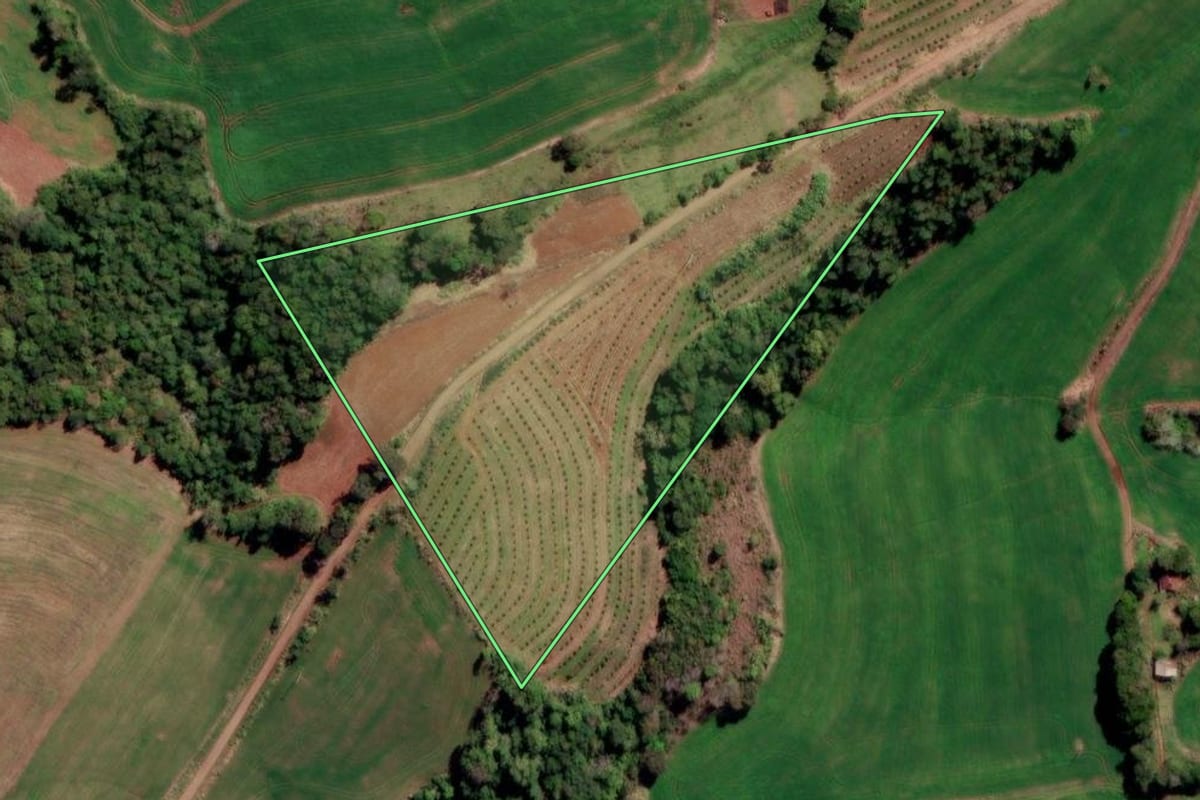 Imagem de satélite do imóvel rural em Liberato Salzano (RS), com o contorno declarado no CAR desenhado por cima.
