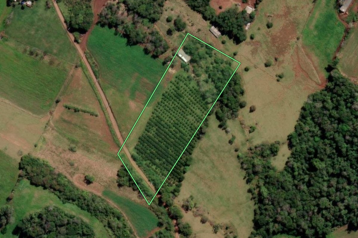 Imagem de satélite do imóvel rural em Liberato Salzano (RS), com o contorno declarado no CAR desenhado por cima.