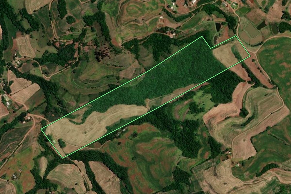 Imagem de satélite do imóvel rural em Liberato Salzano (RS), com o contorno declarado no CAR desenhado por cima.