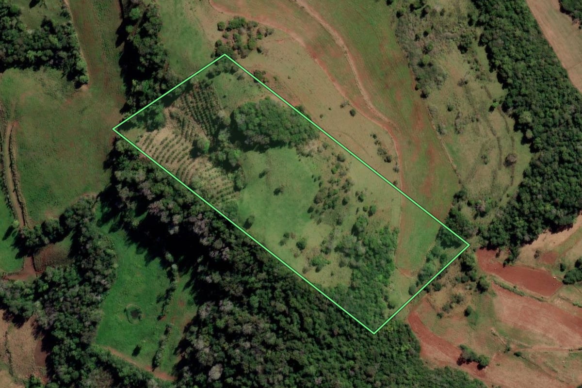 Imagem de satélite do imóvel rural em Liberato Salzano (RS), com o contorno declarado no CAR desenhado por cima.