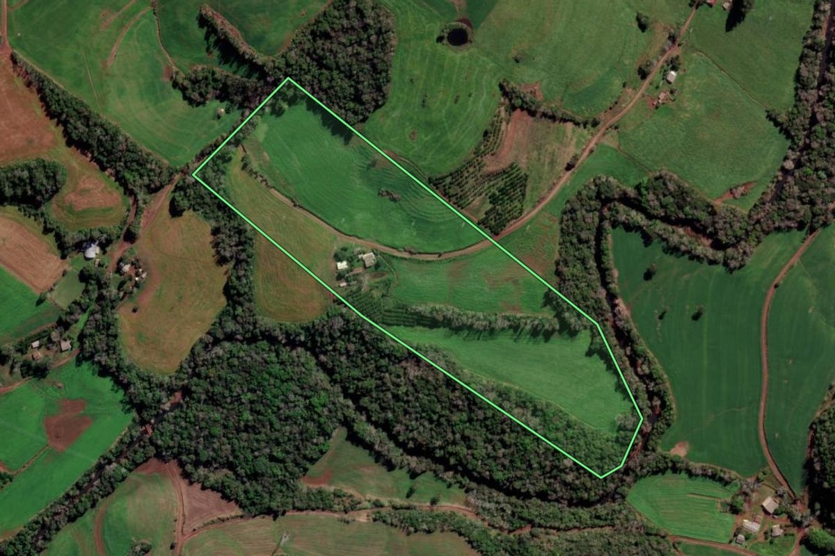 Imagem de satélite do imóvel rural em Liberato Salzano (RS), com o contorno declarado no CAR desenhado por cima.