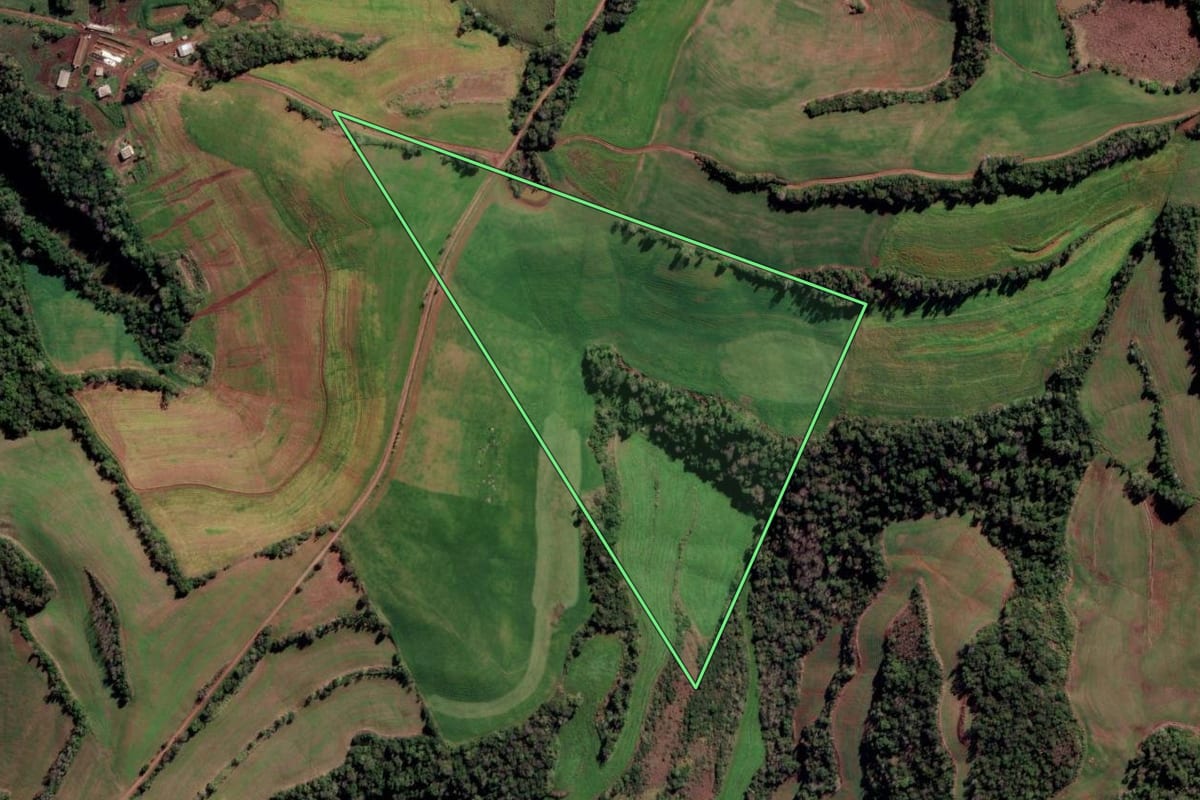 Imagem de satélite do imóvel rural em Liberato Salzano (RS), com o contorno declarado no CAR desenhado por cima.