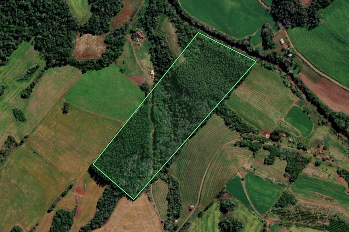 Imagem de satélite do imóvel rural em Liberato Salzano (RS), com o contorno declarado no CAR desenhado por cima.