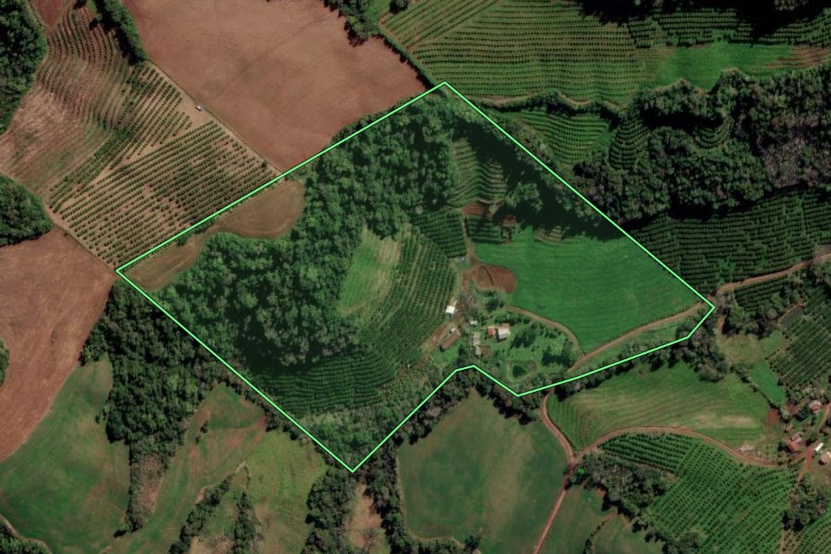 Imagem de satélite do imóvel rural em Liberato Salzano (RS), com o contorno declarado no CAR desenhado por cima.