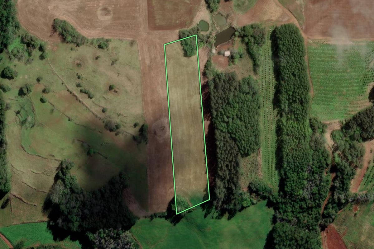Imagem de satélite do imóvel rural em Liberato Salzano (RS), com o contorno declarado no CAR desenhado por cima.