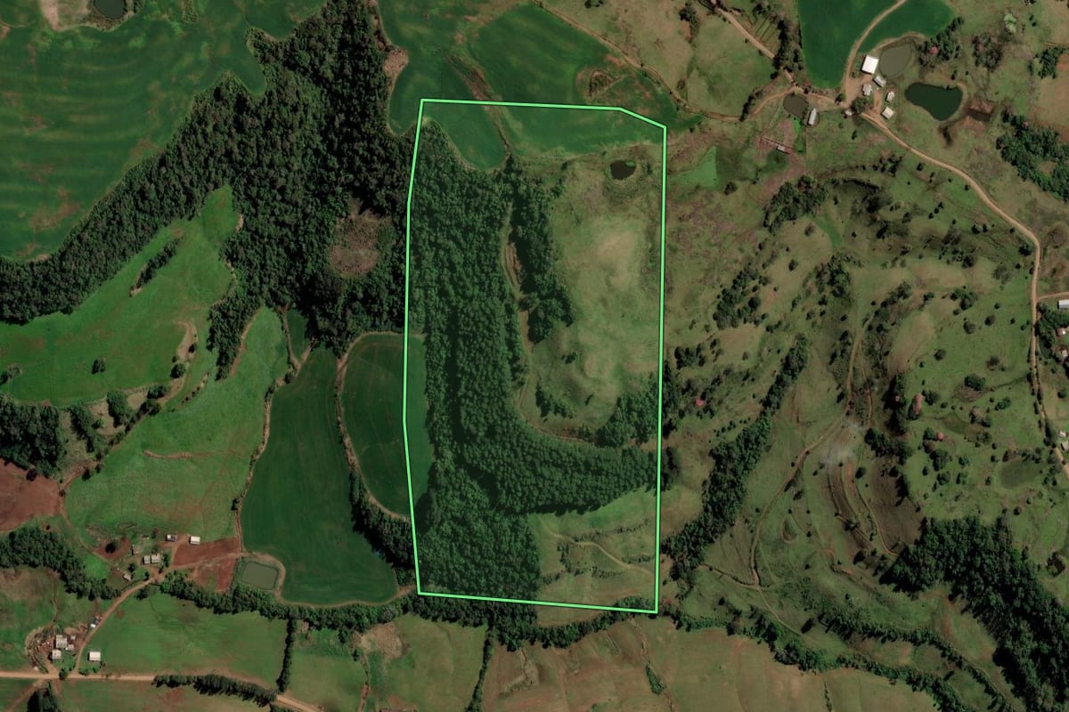 Imagem de satélite do imóvel rural em Liberato Salzano (RS), com o contorno declarado no CAR desenhado por cima.